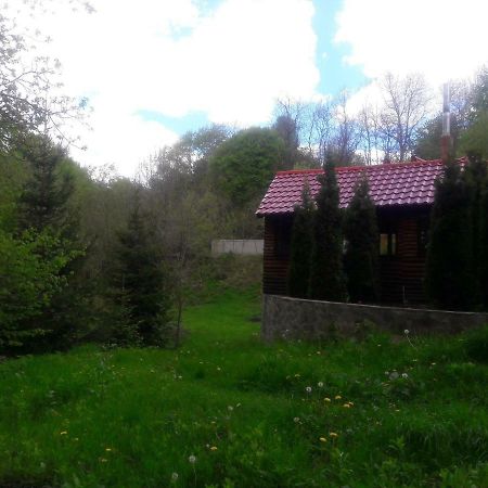 Отель Casa Daos Nucsoara  Экстерьер фото